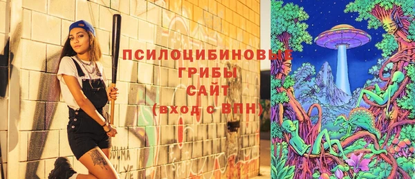 крисы Нязепетровск