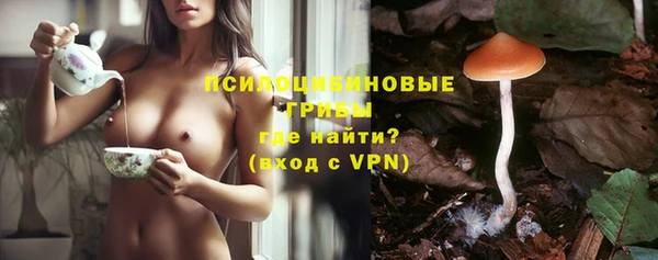 гашик Армянск