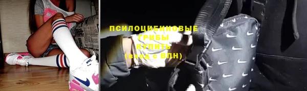 гашик Армянск