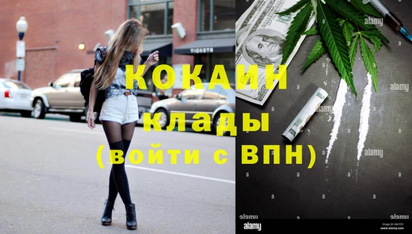 спайс Арсеньев